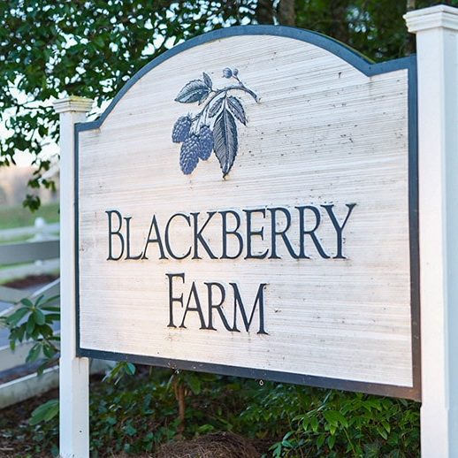 blackberry farm